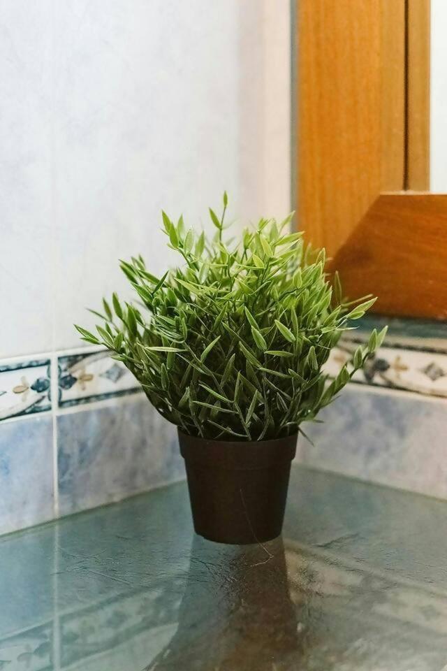 Apartament Casa Begona - Wifi Sencillo Y Acogedor Sallent de Gállego Zewnętrze zdjęcie