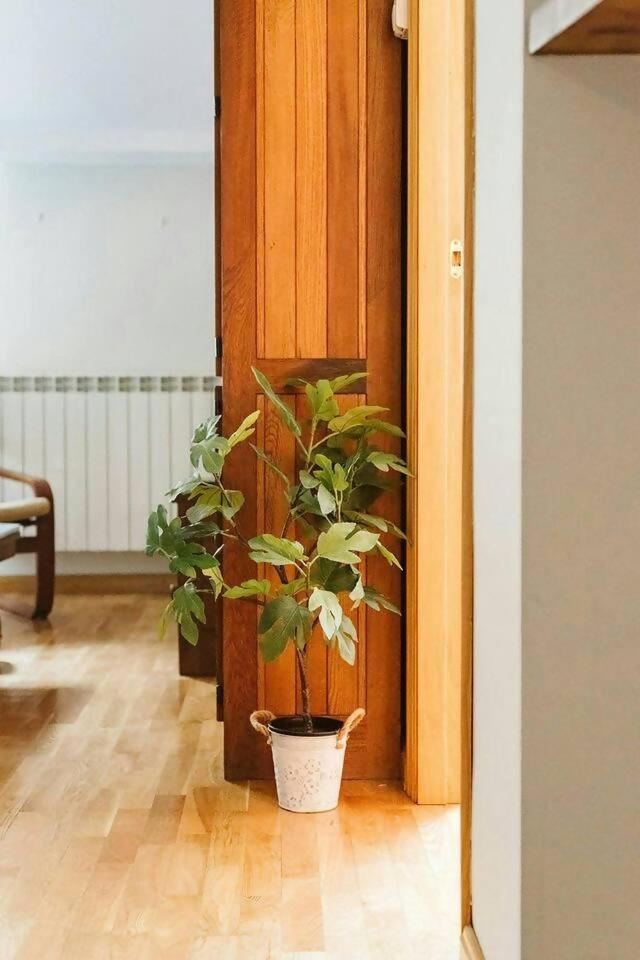 Apartament Casa Begona - Wifi Sencillo Y Acogedor Sallent de Gállego Zewnętrze zdjęcie